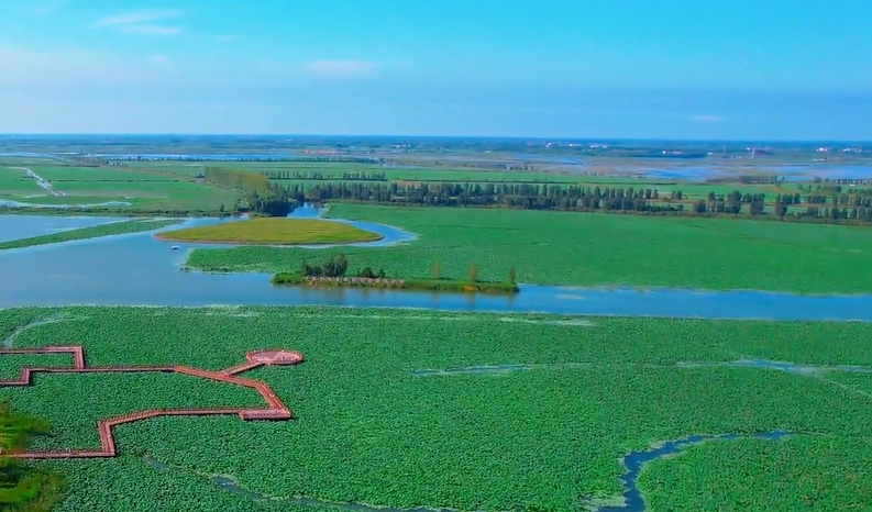 過境中國144小時②丨聽取&ldquo;哇&rdquo;聲一片